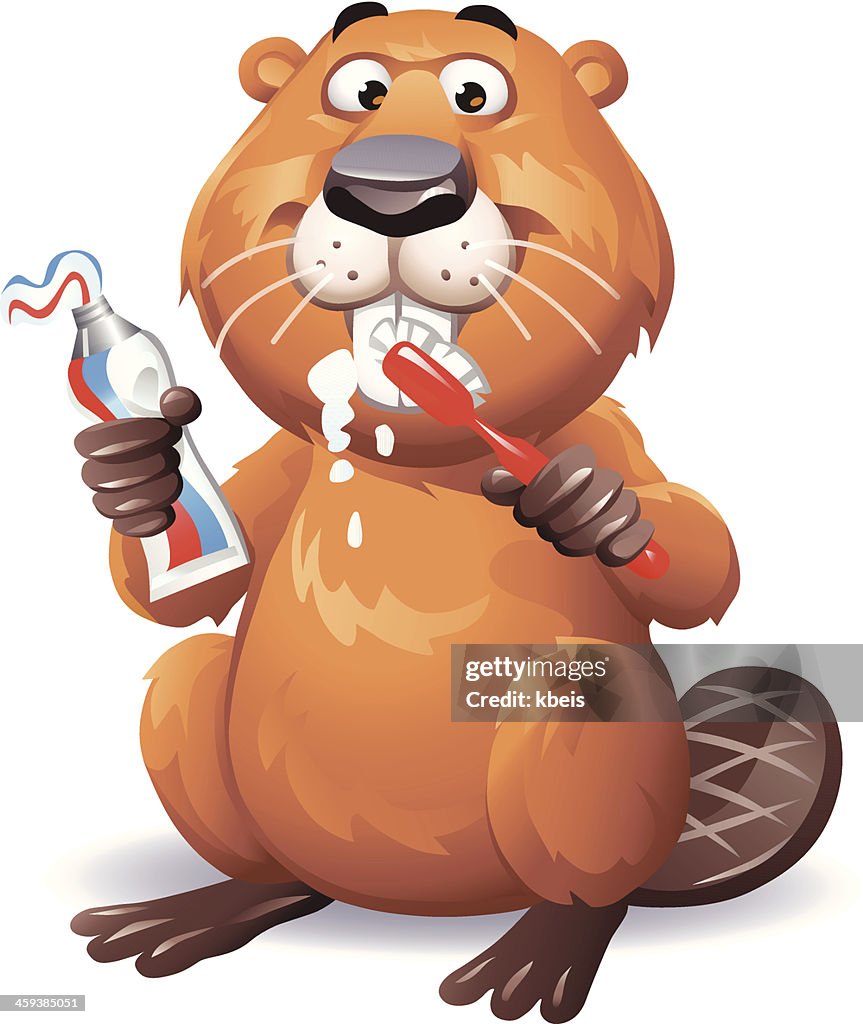 Beaver Brushing Teeth