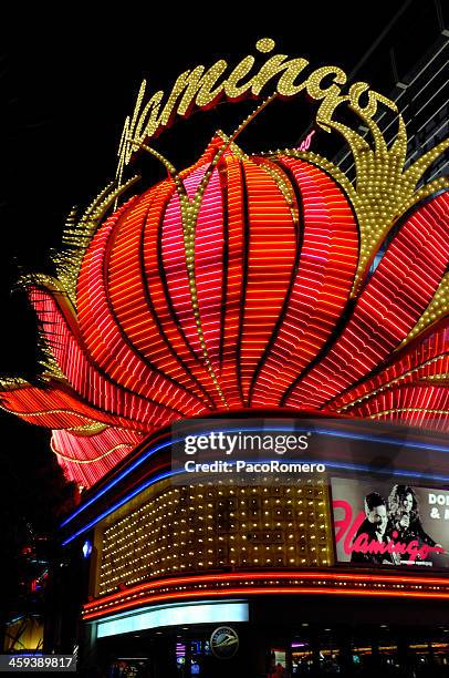 las vegas neon lights - flamingo las vegas stockfoto's en -beelden