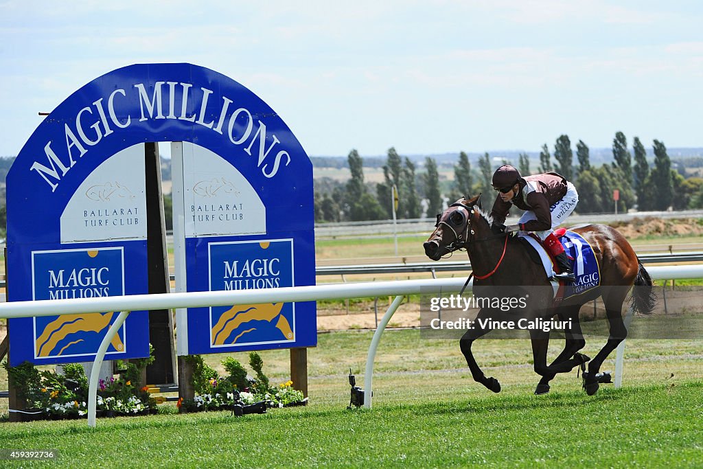 Ballarat Cup Day