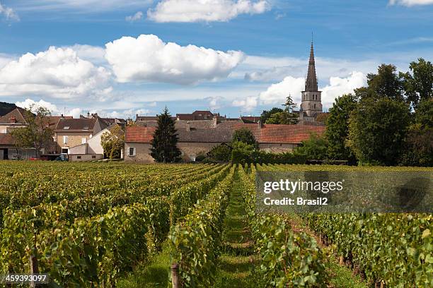 burgundy region - beaune france stock pictures, royalty-free photos & images