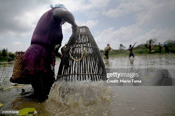 Afro-Brazilians fish with traditional methods practiced for centuries in a wetland area of a deforested section of the Amazon basin on November 21,...