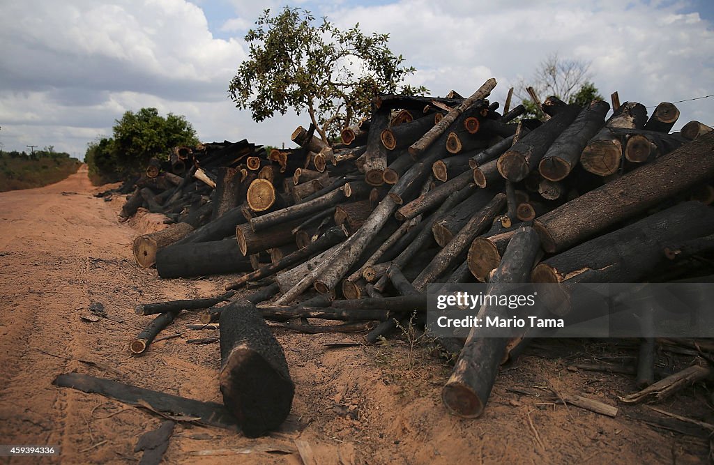 Deforestation In Brazil's Amazon Skyrockets After Years Of Decline