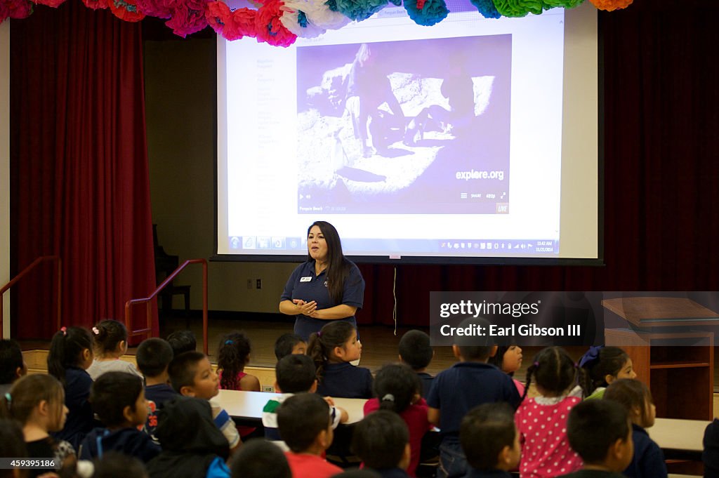 The Penguins Of Madagascar Visit The Children Of Para Los Ninos