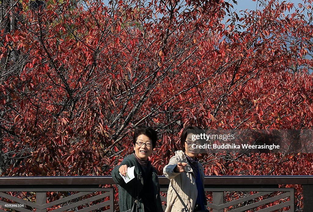 People Enjoy Autumn Colors In Kyoto