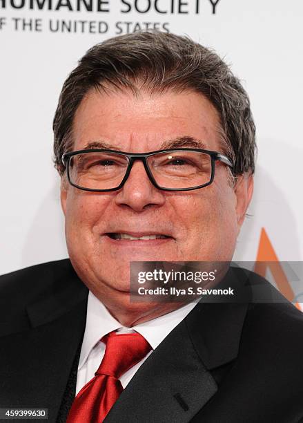 Arthur Benjamin attends "To the Rescue! New York" 60th Anniversary Gala at Cipriani 42nd Street on November 21, 2014 in New York City.