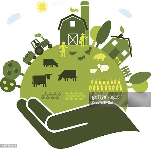 ilustraciones, imágenes clip art, dibujos animados e iconos de stock de la agricultura biológica - granja ecológica