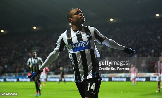 Newcastle player Loic Remy celebrates after scoring the third goal during the Barclays Premier League match between Newcastle United and Stoke City...