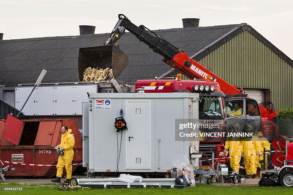 HEALTH-BIRD-FLU-NETHERLANDS