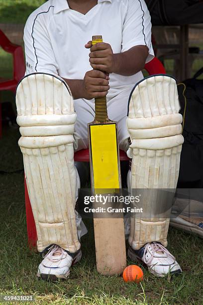 cricket player. - cricket bat stock pictures, royalty-free photos & images