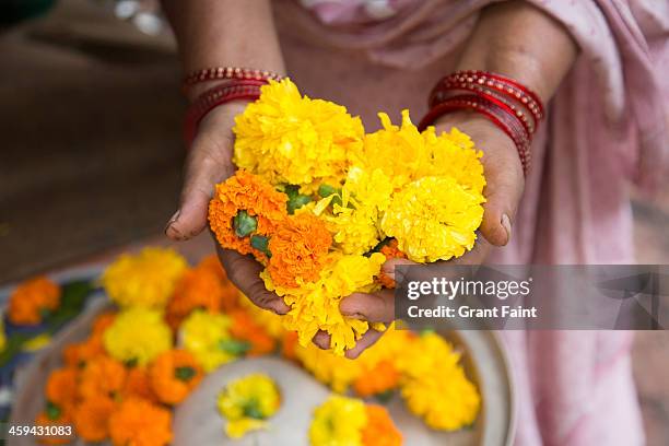 view of market place. - asia lady selling flower stock pictures, royalty-free photos & images