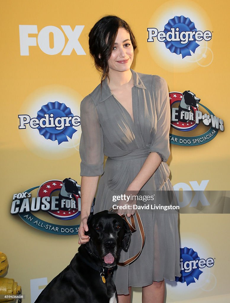 Fox's Cause For Paws: An All-Star Dog Spectacular - Arrivals
