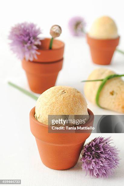 panini all'erba cipollina in vasetti di terracotta - cipollina stock pictures, royalty-free photos & images