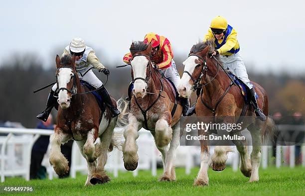 Tom Parker ridden by Kieran Edgar goes on to win The Exeter Racecourse Clydesdale Stakes at Exeter Racecourse on November 23, 2014 in Exeter, England.