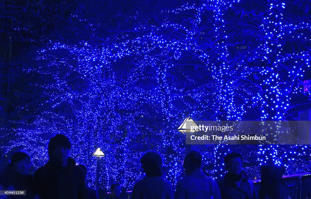 Nakameguro Winter Illumination Begins