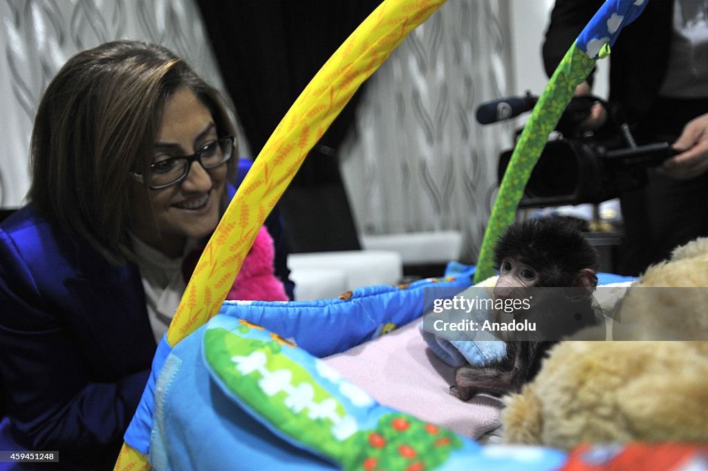 Mayor Sahin visits  the baboon rejected by its biological mother