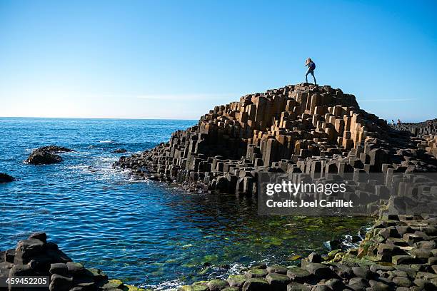 giant's causeway in nordirland - giant's causeway stock-fotos und bilder