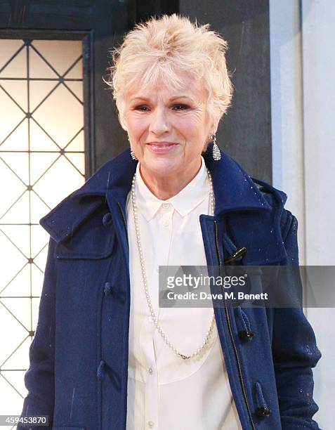 Julie Walters attends the World Premiere of "Paddington" at Odeon Leicester Square on November 23, 2014 in London, England.
