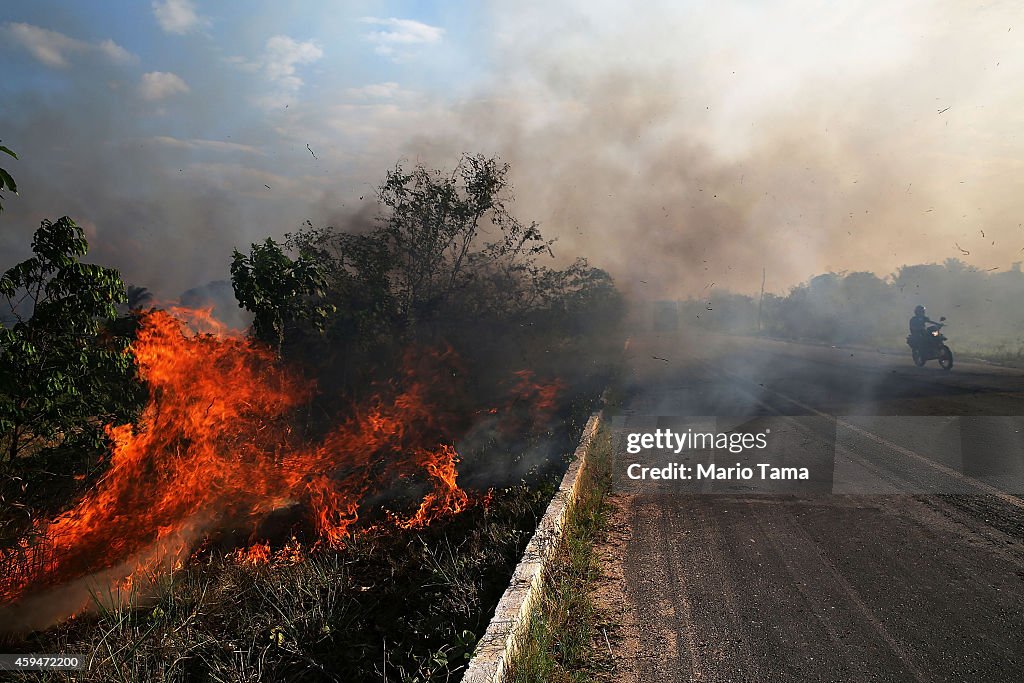 Deforestation In Brazil's Amazon Skyrockets After Years Of Decline