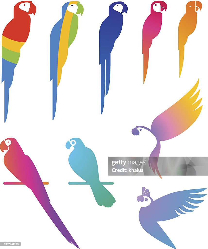 Parrots Set