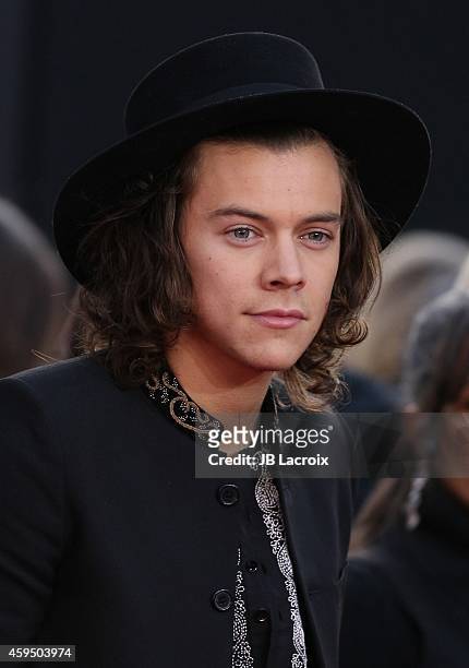 Harry Styles attends the 2014 American Music Awards at Nokia Theatre L.A. Live on November 23, 2014 in Los Angeles, California.