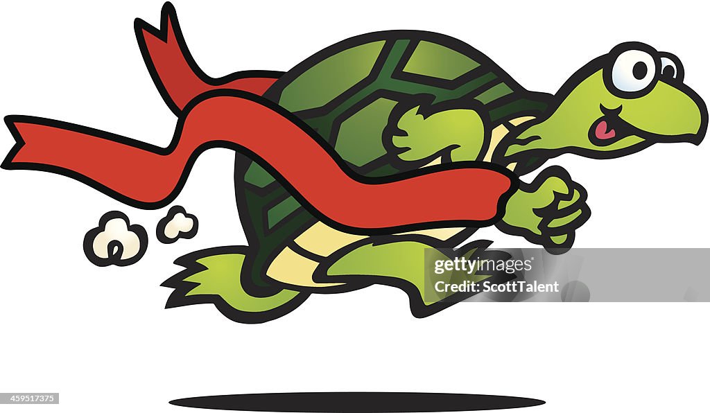 Fast Turtle High-Res Vector Graphic - Getty Images