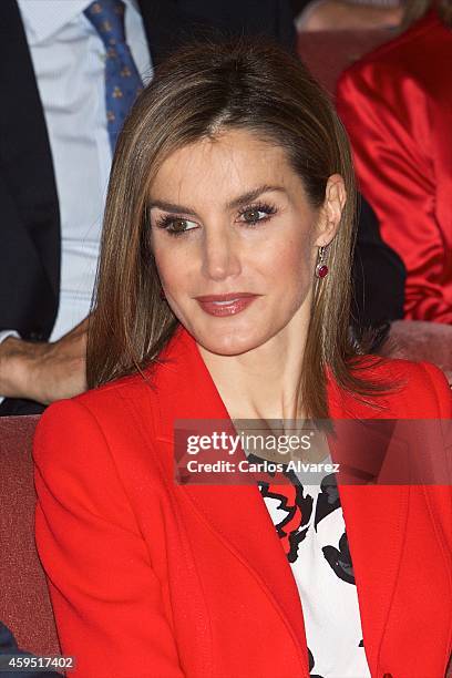 Queen Letizia of Spain attends the CSIC 75th anniversary event on November 24, 2014 in Madrid, Spain.