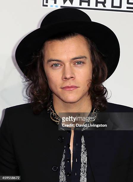 One Direction band member Harry Styles attends the 42nd Annual American Music Awards at the Nokia Theatre L.A. Live on November 23, 2014 in Los...