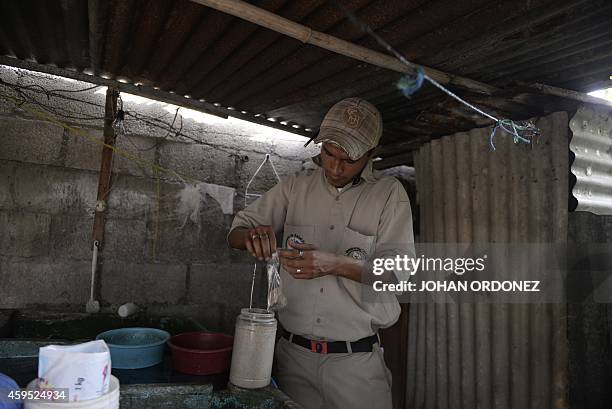 Health Ministry worker handles insecticide as he takes part in a campaign to eliminate potencial breeding sites of Aedes aegypty mosquitoes which...