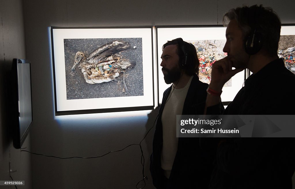 Exclusive Preview Of The Art Exhibition 'Here Today...' For The 50th Anniversary Of The IUCN Red List Of Threatened Species