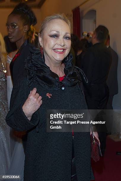 Barbara Schoene attends the Artists Against Aids Gala 2014 at Theater des Westens on November 24, 2014 in Berlin, Germany.