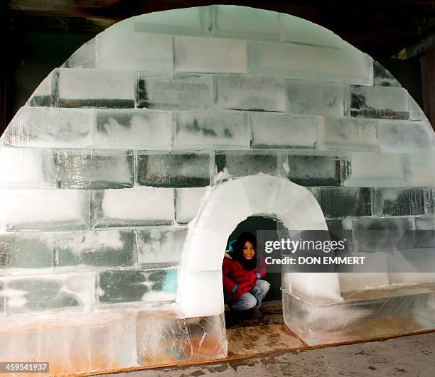 Young girl plays in an igloo made out of a blocks of ice during the Wildlife Conservation Society's Bronx Zoo "Salute to Wildlife Ice Carving Week"...