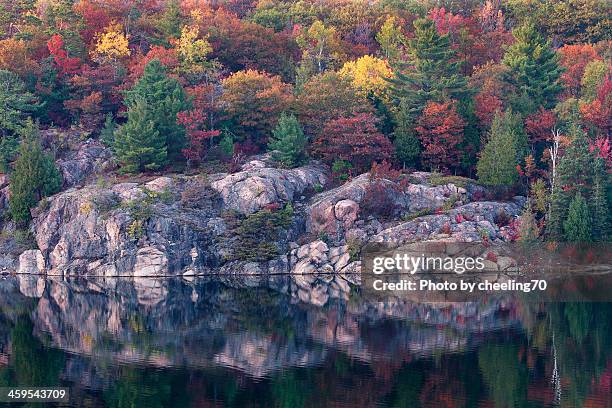 falls color - sudbury stock pictures, royalty-free photos & images