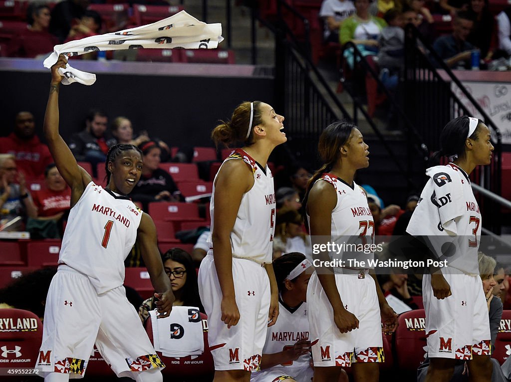 NCAA Women's Basketball Maryland Terrapins vs Loyola (MD) Greyhounds