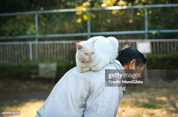 Cat is on the back of the man