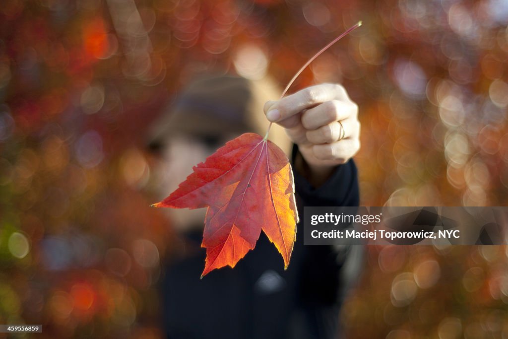 Woman holding a leaf