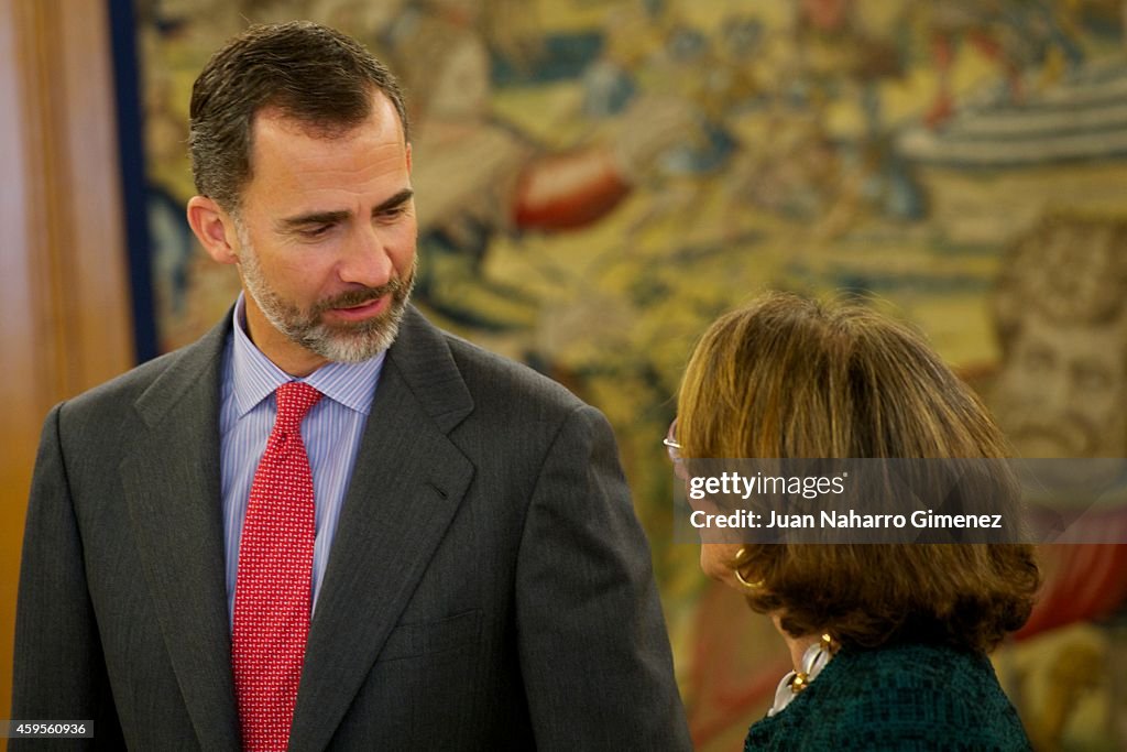 King Felipe VI of Spain Attends an Audience With Rebeca Grynspan