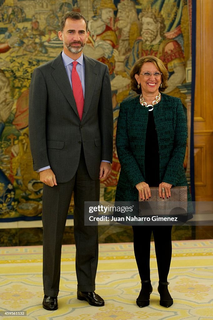 King Felipe VI of Spain Attends an Audience With Rebeca Grynspan