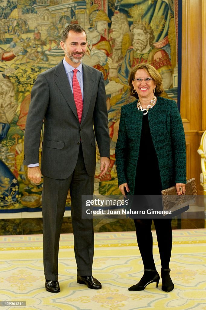 King Felipe VI of Spain Attends an Audience With Rebeca Grynspan