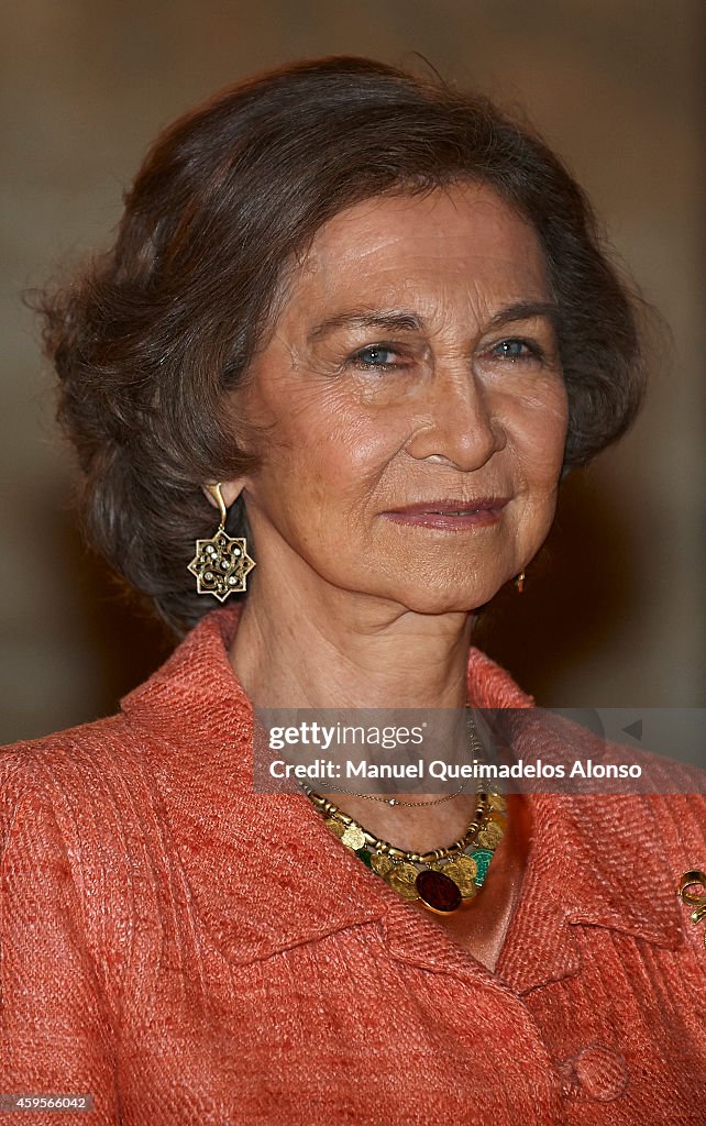 Queen Sofia Attends 'Rey Jaime I' Awards 2014