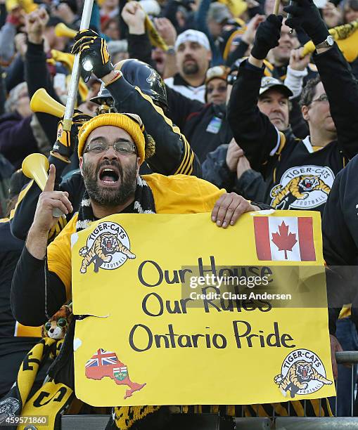 Hamilton Tiger-Cats fans show their pleasure after defeating the Montreal Alouettes in the CFL football Eastern Conference Final at Tim Hortons Field...