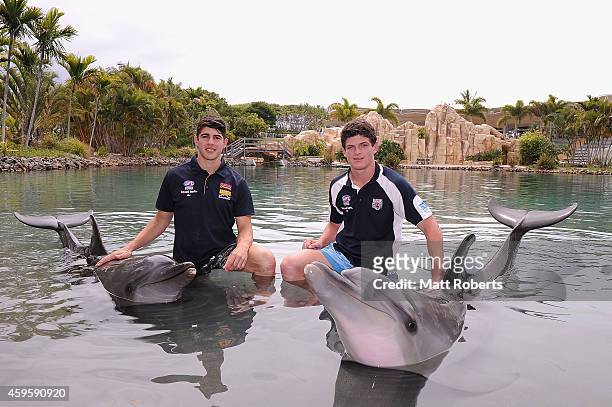 Christian Petracca and Angus Brayshaw pose with dolphins at Sea World ahead of the AFL Draft, at Sea World on November 26, 2014 on the Gold Coast,...