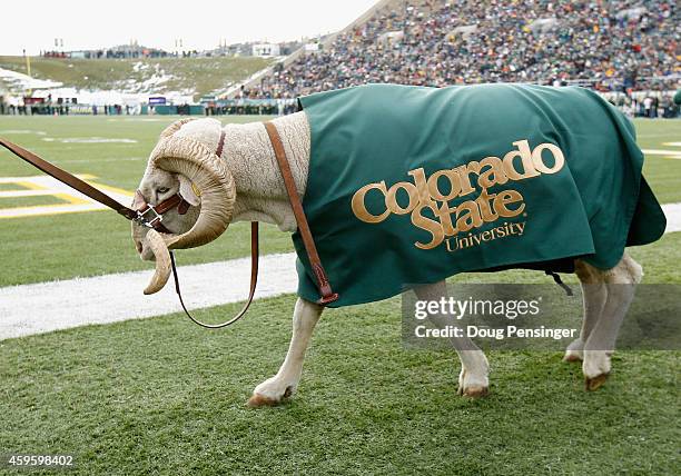 Fort Collins Rams 87 Cam The Ram Stock Photos, High-Res Pictures, and Images - Getty Images