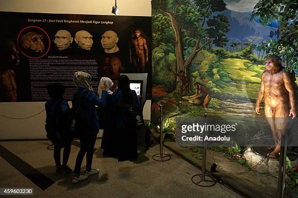 Visitors look at the diorama collection of the Sangiran Museum near Sangiran Early Man Site situated about 15 kilometers in the north of Solo town in...