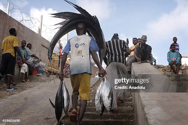 Fishing In Somalia Photos and Premium High Res Pictures - Getty Images