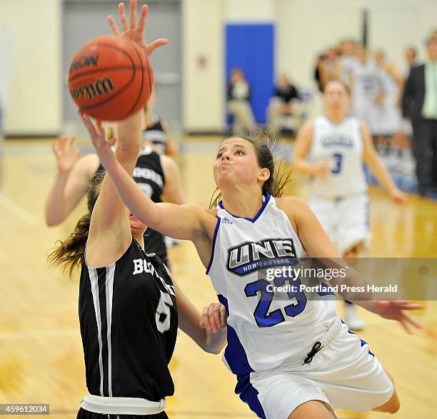 35 Alfond Forum Photos & High Res Pictures - Getty Images