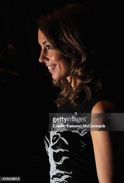 Emma Crosby attends the Daily Mirror & RSPCA animal hero awards at The Grosvenor House Hotel on November 26, 2014 in London, England.