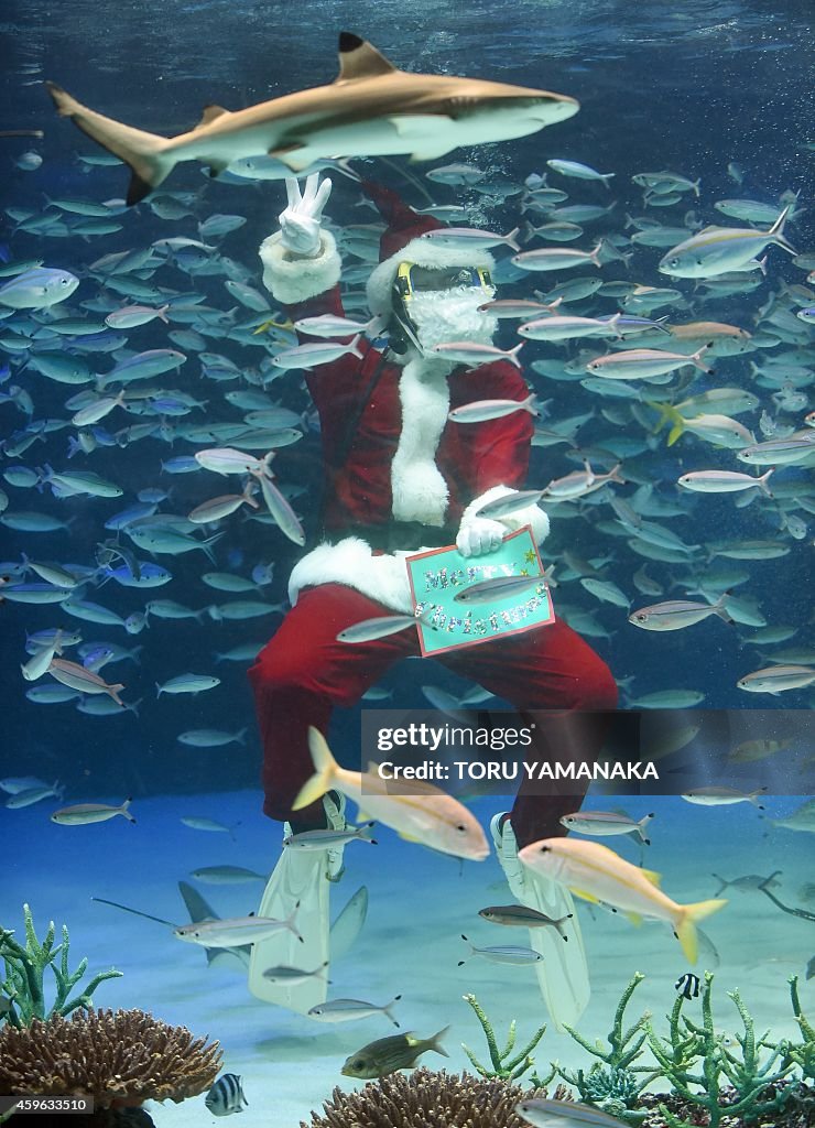 JAPAN-CHRISTMAS-AQUARIUM-SANTA