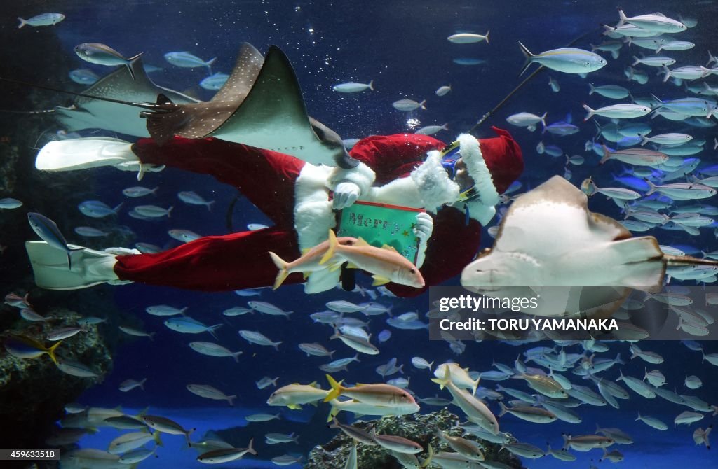 JAPAN-CHRISTMAS-AQUARIUM-SANTA