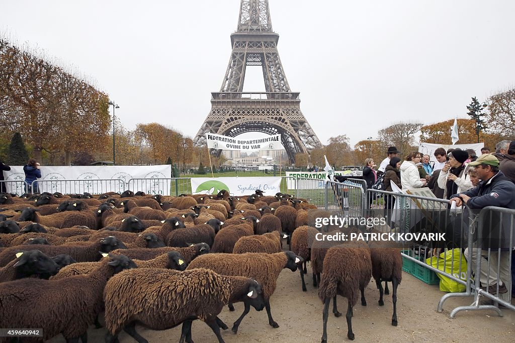 FRANCE-ENVIRONMENT-FARMING-ANIMALS