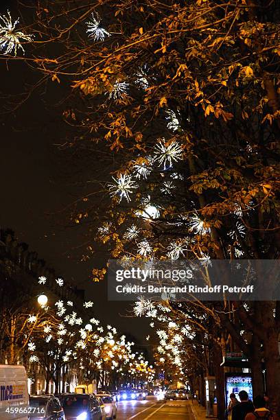 Illustration view of Montaigne Avenue after the Launche of Christmas Montaigne Avenue Illuminations during the 19th Edition of 'Les Sapins de Noel...